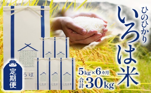 【定期便】宮崎県高千穂町[秋元産］いろは米　棚田米　白米　新米　ひのひかり　5㎏×6ヶ月　合計30kg　T-1