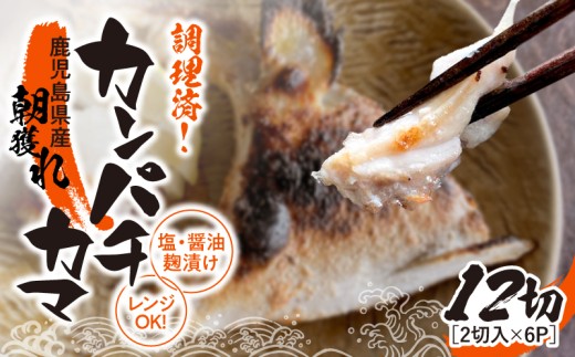 調理済み！カンパチカマ塩・醤油麹（こうじ）漬け 12切（焼タイプ）　KN037-002-04 2583270 - 鹿児島県鹿屋市