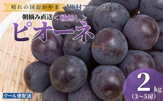 【2026年発送 先行予約】【梅村ファーム】朝摘み直送 ピオーネ（3～5房入り 約2.0kg）【030-a021】