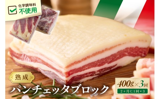 【定期便 隔月×3回】パンチェッタブロック（豚バラ肉の塩漬け）約200g×2袋　ベーコン ブロック・豚バラブロック・ブロック肉・豚肉・豚バラ・パンチェッタ・塩豚・無添加・熟成・生ベーコン　NI00024