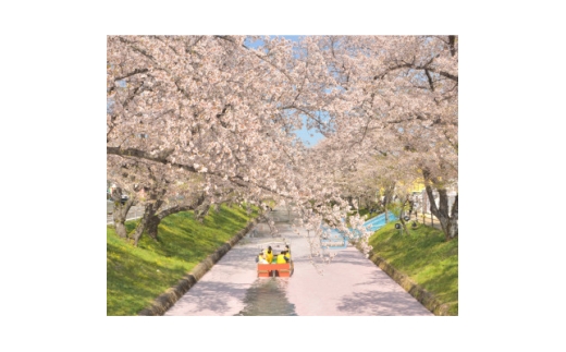 大口町五条川遊覧船　親子ペア乗船券(引換券)【1704691】