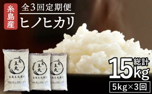 【全3回定期便】糸島産 ヒノヒカリ 5kg×3回 　糸島市 / 糸島王丸農園 ( 谷口汰一 )【いとしまごころ】 [AAZ011]