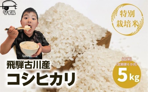 《先行予約》 令和8年産 定期便 飛騨産 特別栽培米 こしひかり 玄米 5kg×6か月 計30kg コシヒカリ 新米 お米 米 精米 ごはん ご飯 特A 単一原料米 定期 定期便 5キロ 6か月 6回 半年 ソイル 飛騨市 2127879 - 岐阜県飛騨市