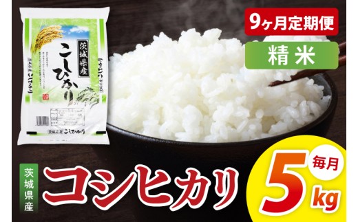 【9ヶ月定期便】茨城県産コシヒカリ　精米　5kg｜精米 定期便 お米 米 こめ コメ ごはん 白米 阿見町 茨城県 茨城県産 茨城県産米 安心 安全 送料無料 国産 人気 数量限定 高評価（85-95）
