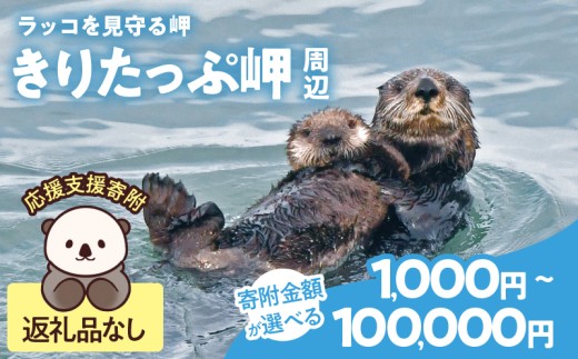 【寄附額が選べる】ラッコを見守る岬「きりたっぷ岬」周辺の環境整備　 返礼品なし_H0028-007-SKU