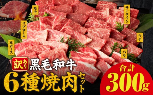 【令和8年4月発送】生産者応援≪訳あり≫黒毛和牛(経産牛)6種焼肉セット(合計300g) 肉 牛 牛肉 おかず 国産_T030-1195-04