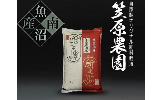 【令和７年産】南魚沼産 笠原農園米 新之助 5kg