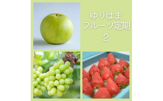 36M.ゆりはまフルーツ定期便②