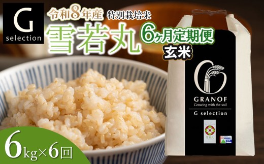 【令和8年産先行予約】【定期便6ヶ月】 特別栽培米 Gセレクション 雪若丸 【玄米】6kg (6kg×1袋)×6ヶ月 山形県鶴岡市産　株式会社グラノフ