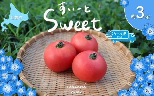 【2026年予約極旨トマトクール便 北海道壮瞥町産 スイート3kg 中玉トマト 【 ふるさと納税 人気 トマト とまと 野菜 スイート 中玉トマト フルーツトマト フルーツ ミニトマト 甘い 糖度 美味しい 完熟 グルメ 北海道 壮瞥町 送料無料 】 SBTAJ019