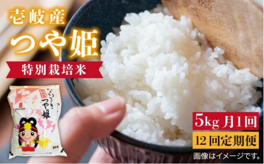 【全12回定期便】壱岐産 つや姫 5kg《壱岐市》【壱岐市農業協同組合】 [JBO058] 米 お米 白米 ご飯 ごはん 5キロ お弁当 朝食 定期便 200000 200000円 20万円