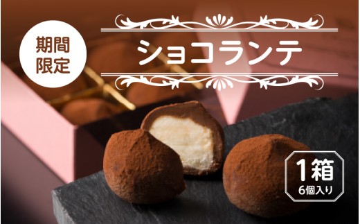ショコランテ  6個入り　[A-08615]