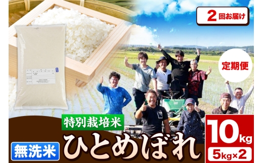 《定期便2ヶ月》令和7年産【無洗米】特別栽培米 ひとめぼれ 10kg（5kg×2袋）秋田県産 お米 米 こめ 2505385 - 秋田県由利本荘市