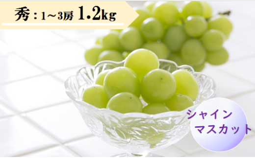 08-08-016　ぶどう(シャインマスカット)1.2kg