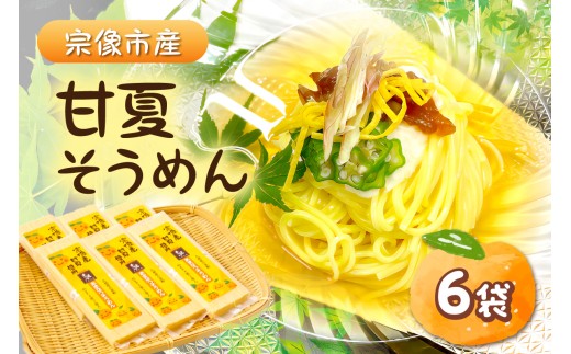宗像市産甘夏そうめん 6袋セット【道の駅むなかた】_HA1826
