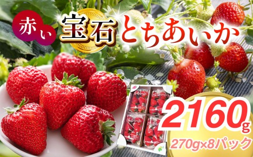 真岡市産 赤い宝石「とちあいか」いちご イチゴ 選べる 2160g | 苺 strawberry ストロベリー おいしい 甘い ジューシー 贈答用 プレゼント ご褒美 スイーツ おやつ 高評価 人気 レビュー 栃木県 真岡市 日本一 送料無料 2226730 - 栃木県真岡市