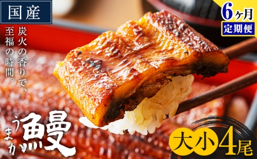 【6ヶ月定期便】うなぎ 大小 4尾  国産 鰻 真空パック おすすめ うなぎの蒲焼 《お申込み翌月から出荷》 ふるさとのうぜい 特上 簡易包装 ウナギ unagi 蒲焼 秋 冬 旬 配送時期 冷凍