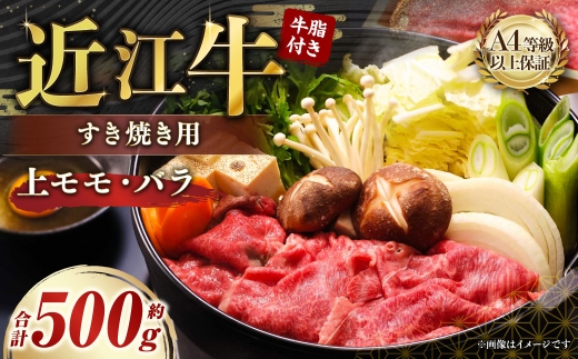 A4等級以上保証！！近江牛すき焼用約500g 牛脂付き【近江牛専門店かねきち】