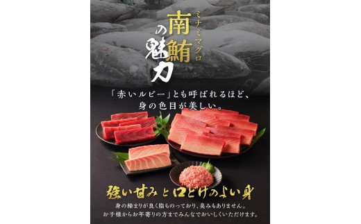 静岡県焼津市のふるさと納税 m10-001　【定期便10回】南鮪 1本 総重量約29kg（各月約2.9kg）【定期便】