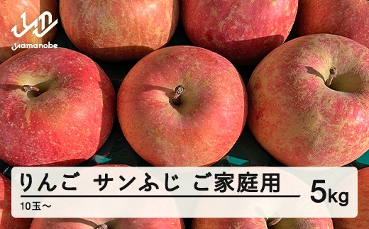 【先行予約】 りんご サンふじ ご家庭用 約5kg(10~20個程度)  2026年産 山形県産 甘い シャキシャキ 食感 リンゴ 林檎 フルーツ 果物 果樹 ※沖縄・離島への配送不可 tf-risfm5