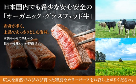 【雄武町】雄武産有機牛カラービーフ サーロイン（150g×2P）