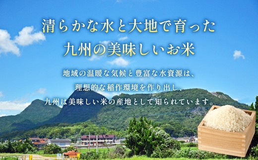 【1ヶ月毎4回定期便】はるかおり5kg