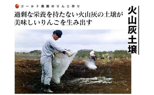 青森県弘前市のふるさと納税 【寄附金額見直しました】【25年12月～発送】りんご 葉とらず ふじ【家庭用】約2kg ゴールド農園 [青森産 りんご ふじ 葉取らず アップル 林檎 リンゴ 果物 果実 美味 青森県 弘前市] [u9]