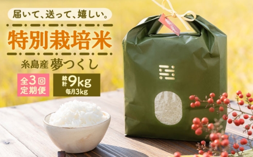 [全3回定期便]とくべつの中のとくべつ 特別栽培米 3kg 夢つくし 吉富町/(株)やました [BGBX002]