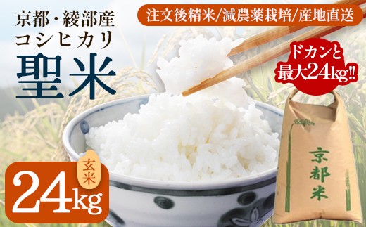 令和7年度産 業務用 京都府産コシヒカリ 聖米 玄米 24kg【米 お米 玄米 京都府産 ごはん こめ 国産 24キロ 大容量 まとめ買い 京都府 京都 綾部市 】 748325 - 京都府綾部市