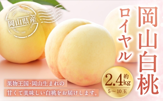 岡山白桃 ロイヤル 5～10玉 約2.4kg 岡山県産 白桃 桃 もも モモ くだもの 果物 果実 フルーツ 国産 ギフト 贈り物 【 2026年7月上旬～8月下旬発送予定 】