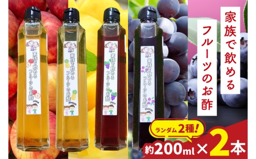 【セット】フルーツ酢（アップルジュー酢・パイン酢・ブドウジュー酢・ブルーベリー酢）　ランダム2種