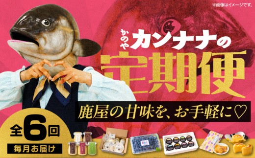 【全6回】鹿屋カンナナ便　KN000-T10