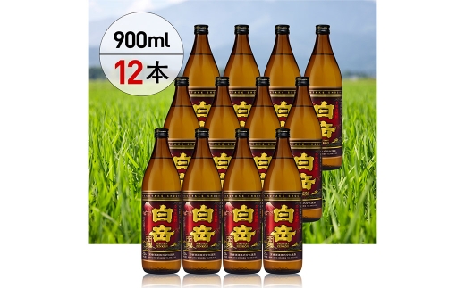球磨焼酎 「 白岳全麹900ml 」 12本 焼酎 お酒 酒 アルコール 米焼酎 白岳 全麹仕込