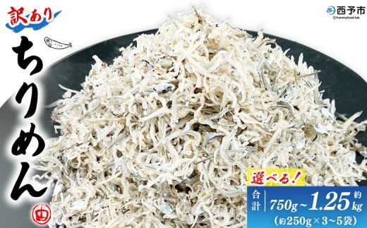 ＜訳あり ちりめん 約750g(250g×3袋)／約1.25kg(250g×5袋)＞選べる 内容量 ちりめんじゃこ じゃこ 家庭用 海鮮 海産物 丼 おにぎり 具材 ご飯 おつまみ おやつ 小魚 乾物 国産 マルヨシ水産 特産品 愛媛県 西予市【冷蔵】『1か月以内に順次出荷予定』