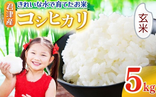 玄米 令和7年産 コシヒカリ 5kg きれいな水で育てたお米 2週間以内に発送 | 保坂農場 げんまい ご飯 おにぎり 名水 おいしい水 ちばエコ農産物 君津市産 イチオシ 千葉 君津市 きみつ 房総 2290239 - 千葉県君津市