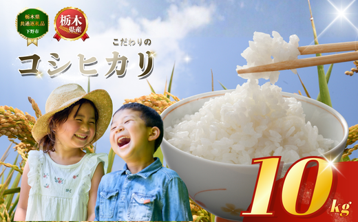 コシヒカリ こしひかり 約10kg 米 お米 こめ コメ | もちもち 白米 ごはん ご飯 おすすめ 小分け 人気 おいしい おにぎり おむすび お弁当 限定 栃木県共通返礼品 栃木県 下野市 送料無料