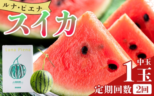 【２回定期便】ルナ・ピエナスイカ(中玉) 1玉 Wyu-0063