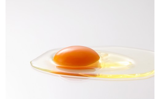 鶏卵 茜色の輝き120個（1パック10個入り×12パック） 生卵 たまご 鶏卵 小分け 贈答 ギフト 新鮮 赤たまご 卵 玉子 タマゴ 赤玉 但馬 朝来市