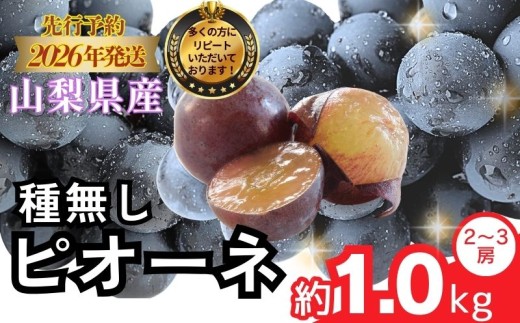 【2026年 先行予約】山梨県産 種なし ピオーネ 2～3房 (約1.0Kg）【アズールヤード】| 2～3房  山梨 やまなし 葡萄 ブドウ フルーツ 果物 くだもの ぶどう  デザート スイーツ 黒葡萄 黒ブドウ 黒ぶどう 濃厚 2026