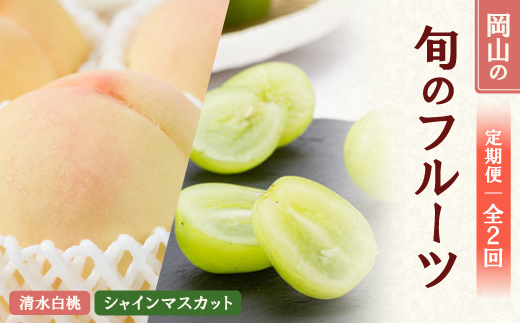 ＜発送月固定定期便＞ 2026年先行予約　岡山フルーツ旬の果物 清水白桃+シャインマスカット全2回【4069071】 2178443 - 岡山県美作市