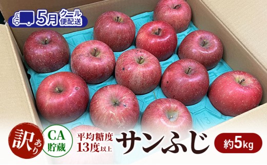 [№5554-0257]【5月 クール便配送】雪国鮮度をと閉じ込めた りんご 【平均糖度13度以上】CA貯蔵 訳あり サンふじ 約5kg リンゴ 果物 青森県 鶴田町