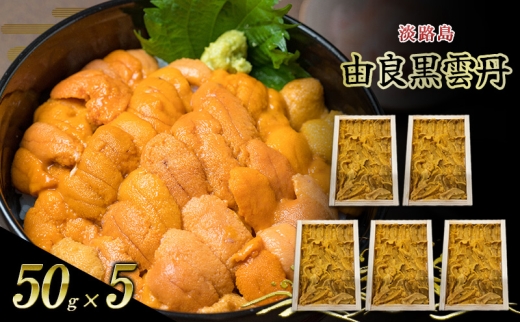 淡路島　由良黒雲丹　5枚 兵庫県 洲本市 淡路島[№5395-0517]