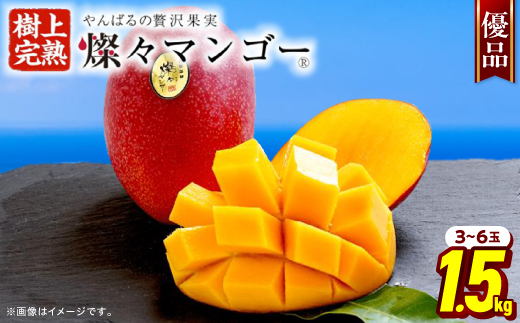 ＜2026年7月から順次発送・優品＞燦々マンゴー1.5kg(3～6玉)_アップルマンゴー アーウィンマンゴー 沖縄 家庭用 規格外 贈答用 ギフト 果物 完熟 南国 フルーツ 期間限定 数量限定 沖縄県産 農家直送 お中元【1619778】