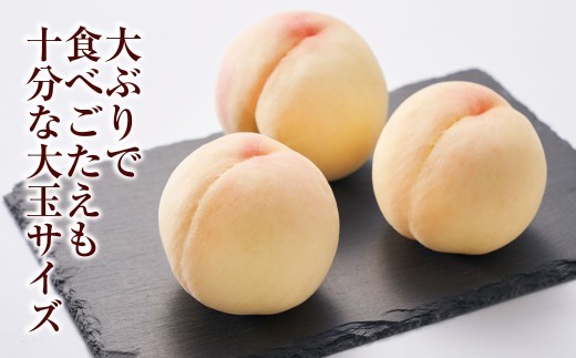 《ご家庭用》 おかやまの桃（大玉）3玉 （合計約900g）