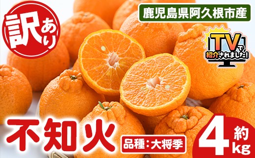 ＼テレビで紹介されました！／＜先行予約受付中！2026年3月上旬以降順次発送予定＞訳あり！露地栽培の不知火(4kg：大将季) 国産 不知火 しらぬい 柑橘 果物 フルーツ デザート 露地 果実 期間限定 数量限定【古田果樹園】akn093-07