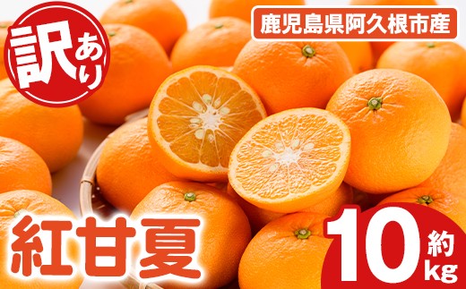 訳あり！紅甘夏(10kg) 国産 紅甘夏 柑橘 果物 フルーツ デザート 果実 期間限定 数量限定【古田果樹園】akn093-04