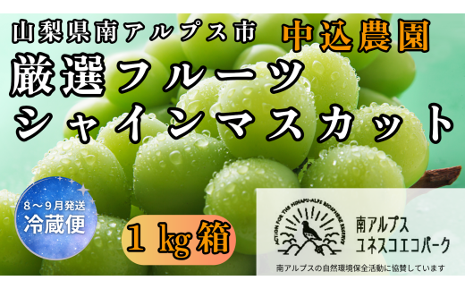 ＜2026年発送先行予約＞ 山梨県南アルプス市産 厳選 シャインマスカット 約1kg ALPEM003 1997809 - 山梨県南アルプス市