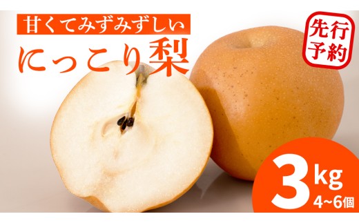 茨城県城里町のふるさと納税 ＜農家直送＞梨 にっこり 4~6個 (3kg) 先行予約 2026年発送 完熟 フルーツ 果物 産地直送 糖度 高い 梨 茨城 人気 (BB006)