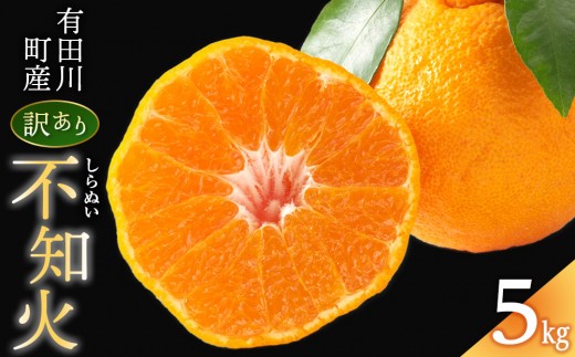 不知火(しらぬい) オレンジ みかん 訳あり 5kg
