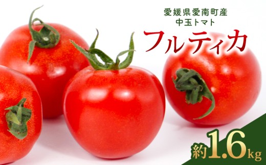 フルティカ 約1.6kg 大瀧農園 トマト 完熟トマト 野菜 産地 直送 人気 国産 愛媛県 愛南町 発送期間：2026年3月1日～7月頃まで（※なくなり次第終了）
